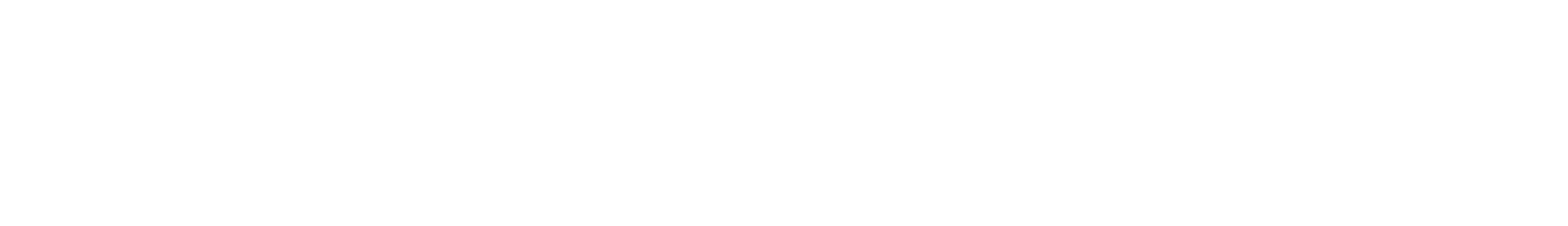 Aerial Drone